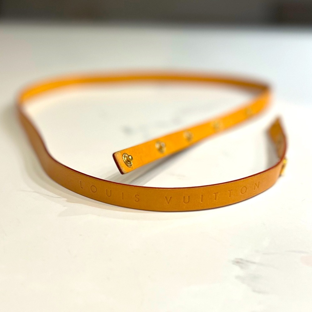 Authentic Louis Vuitton Florentine waist bag belt